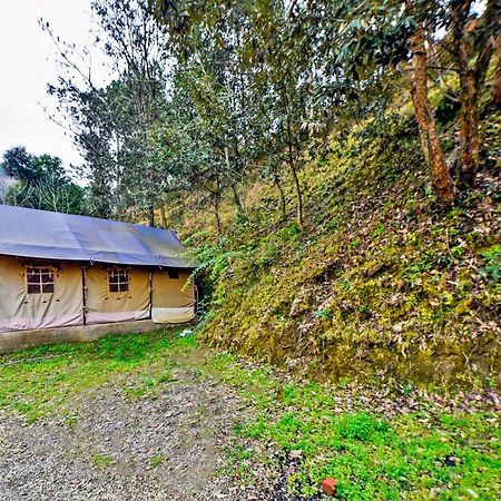 Oyo 29888 Nature Treat Hotel Chail Luaran gambar